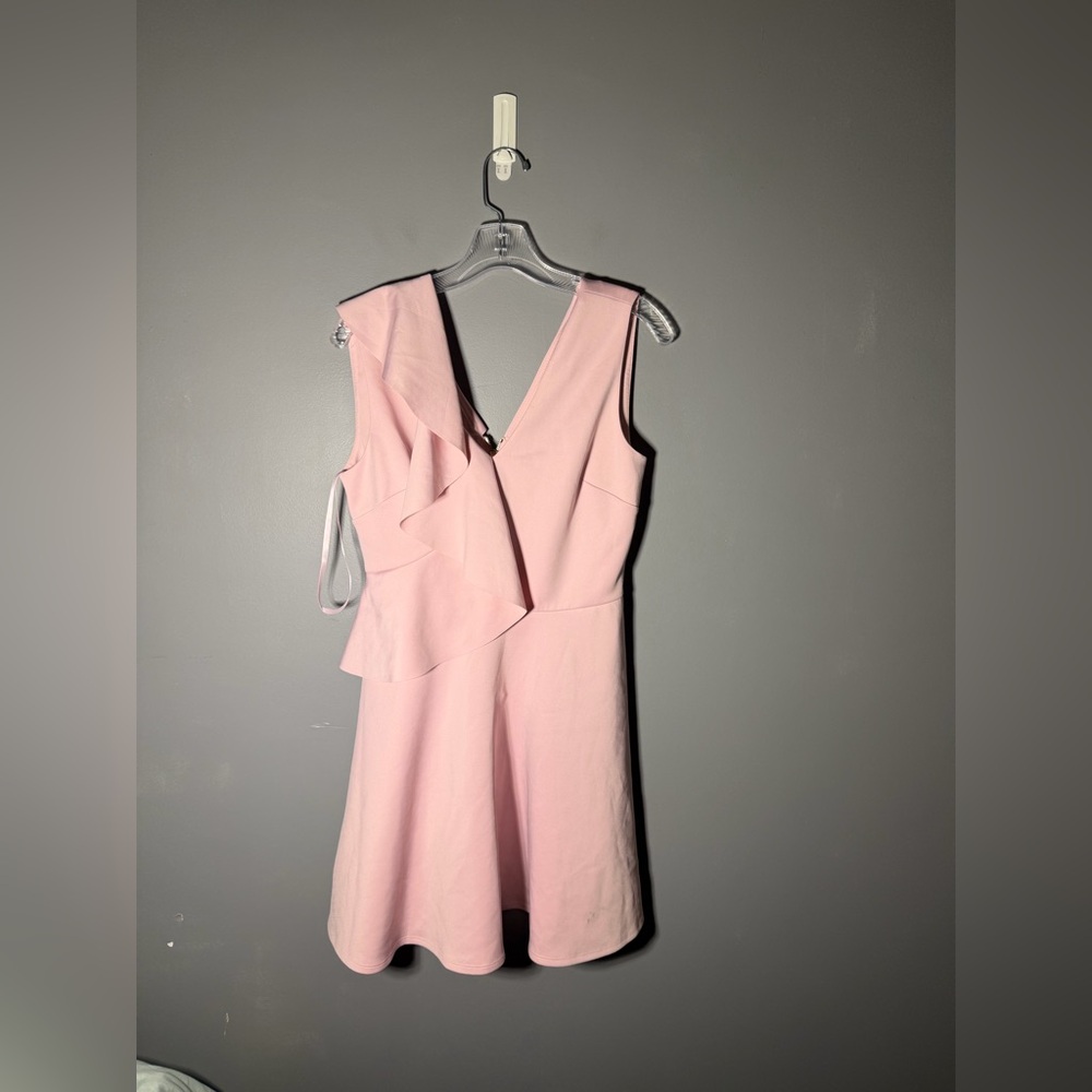 Ted Baker London Lantaa Ruffle Detail Skater Dress Size 6 - Picture 2 of 5